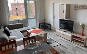 Apartmán ve Velkých Losinách